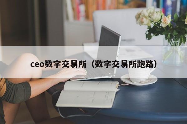 ceo数字交易所（数字交易所跑路）
