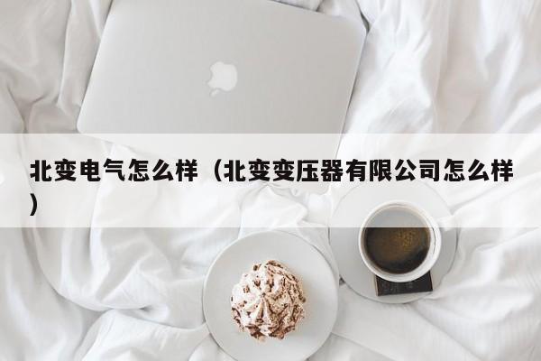 北变电气怎么样(北变变压器有限公司怎么样)