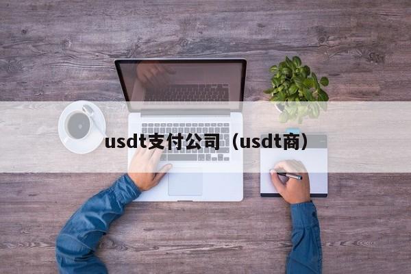 usdt支付公司（usdt商）