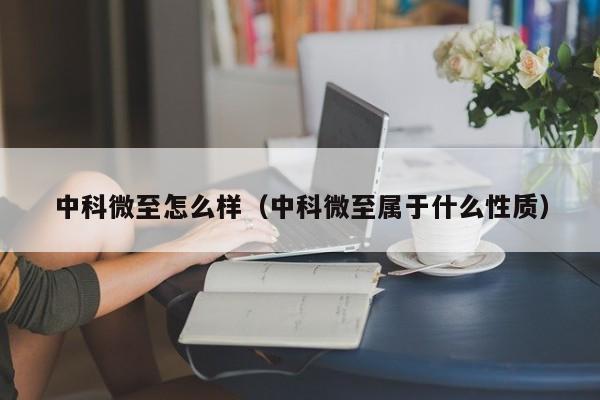 中科微至怎么样（中科微至属于什么性质）