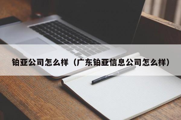 铂亚公司怎么样（广东铂亚信息公司怎么样）
