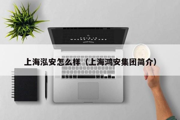 上海泓安怎么样（上海鸿安集团简介）