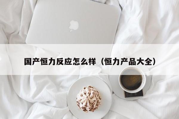 国产恒力反应怎么样（恒力产品大全）