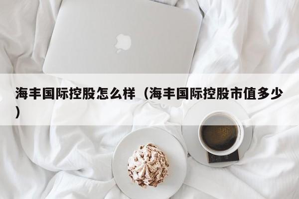 海丰国际控股怎么样（海丰国际控股市值多少）